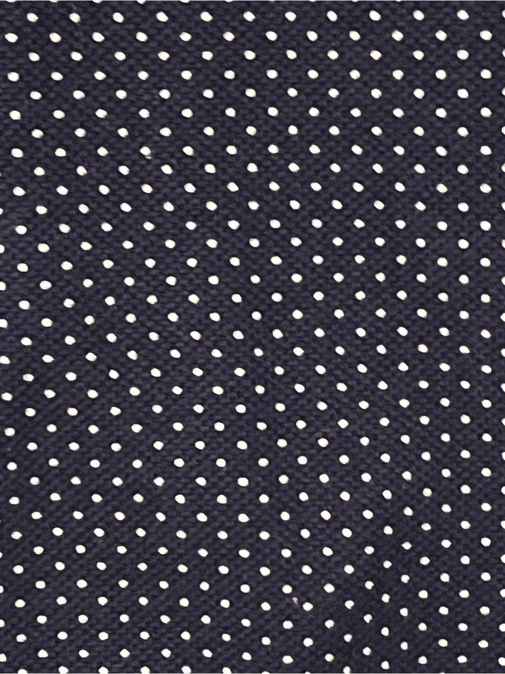 Navy Dot Print Women’s Pants
